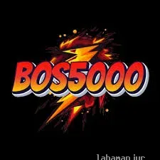 Ikon bos5000